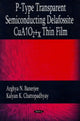 Book cover of: P-Type Transparent Semiconducting Delafossite CuA102+x Thin Film. By: Arghya N. Banerjee