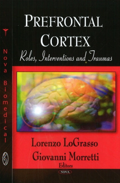 Prefrontal Cortex