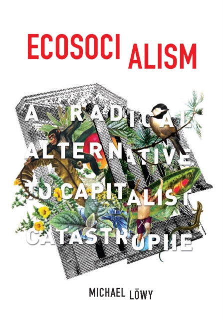 Book cover of: Ecosocialism. By: Michael Löwy