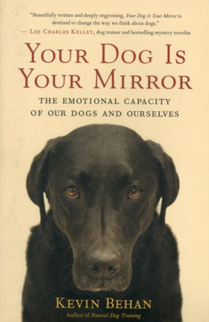Your Dog Is Your Mirror