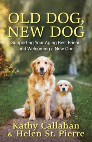 Old Dog, New Dog