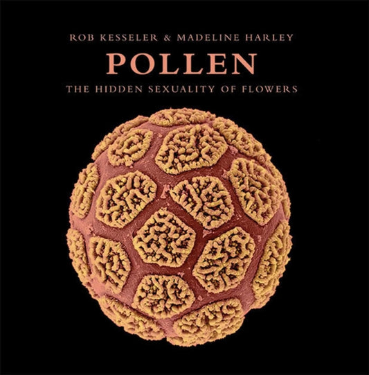 Book cover of: Pollen. By: Rob Kesseler