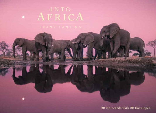 Book cover of: Into Africa: Blank Boxed Notecards