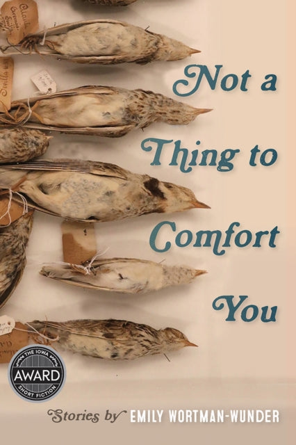 Book cover of: Not a Thing to Comfort You. By: Emily Wortman-Wunder