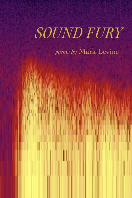 Book cover of: Sound Fury. By: Mark Levine