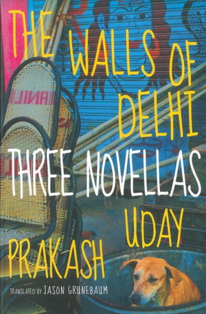 The Walls of Delhi