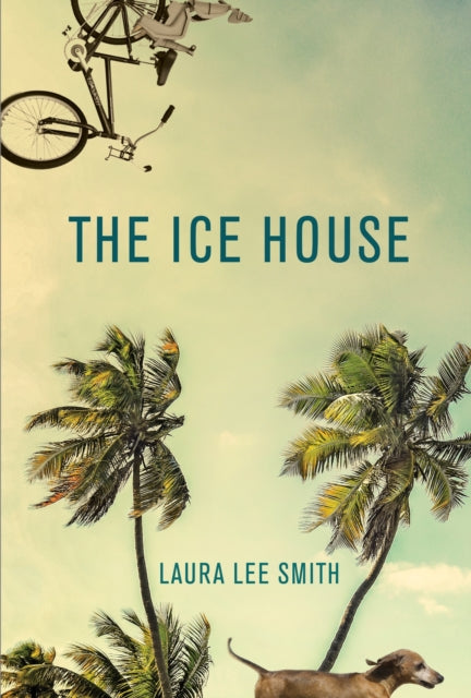 Book cover of: Ice House. By: Laura Lee Smith
