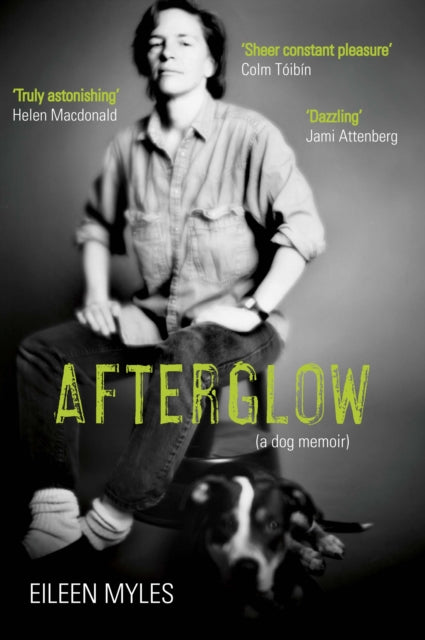 Book cover of: Afterglow. By: Eileen Myles