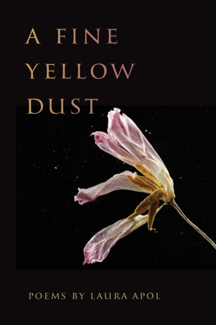Book cover of: Fine Yellow Dust. By: Laura Apol