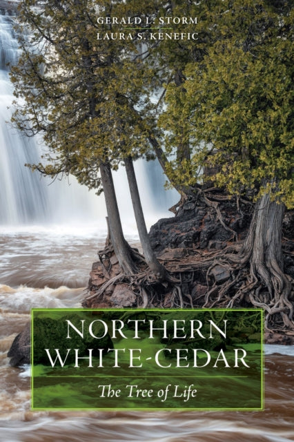 Book cover of: Northern White-Cedar. By: Gerald L. Storm