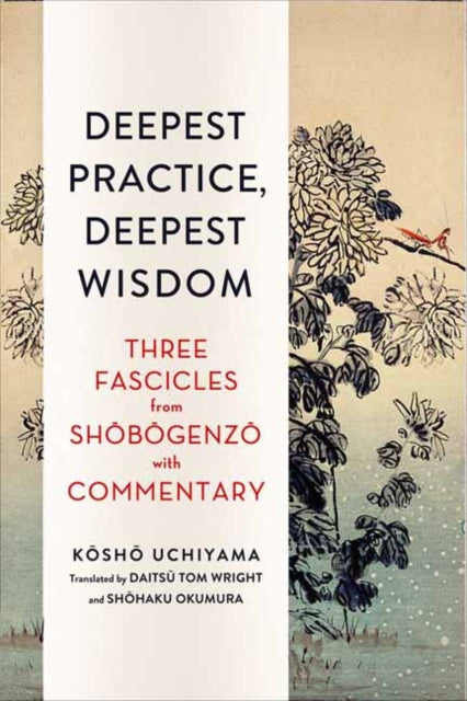 Book cover of: Deepest Practice, Deepest Wisdom. By: Tom Wright