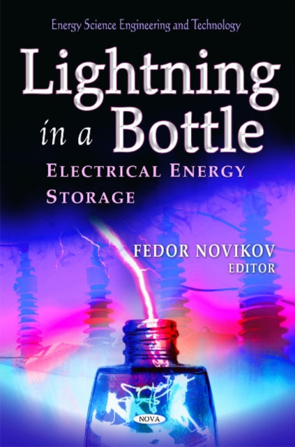 Book cover of: Lightning in a Bottle. By: Fedor Novikov