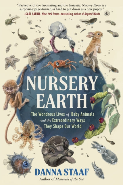 Book cover of: Nursery Earth. By: Danna Staaf