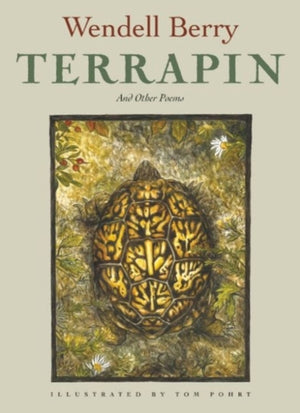Terrapin