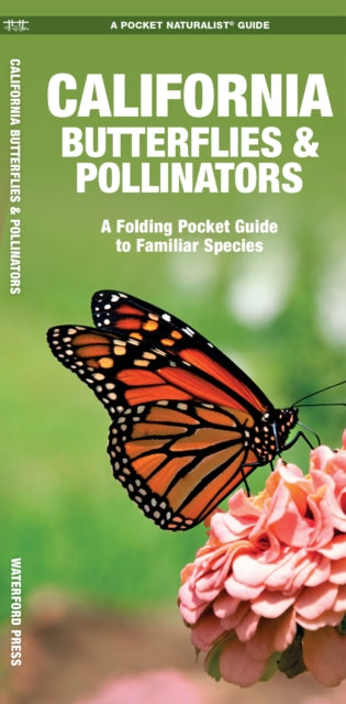 Book cover of: California Butterflies & Pollinators. By: James Kavanagh