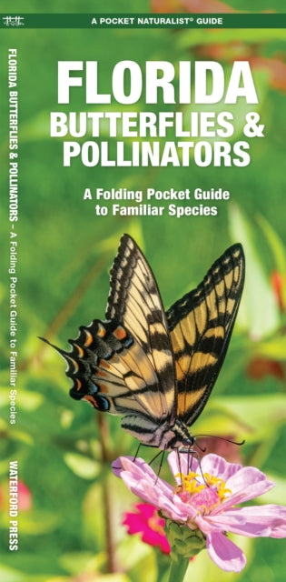 Book cover of: Florida Butterflies & Pollinators. By: James Kavanagh