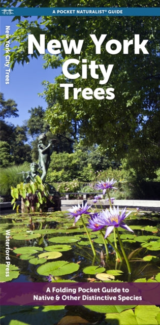 Book cover of: New York City Trees. By: Waterford Press