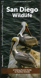 Book cover of: San Diego Wildlife. By: Waterford Press