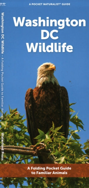 Book cover of: Washington DC Wildlife. By: Waterford Press