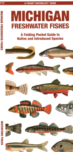 Book cover of: Michigan Freshwater Fishes. By: Waterford Press