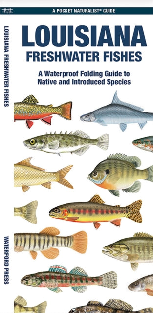 Book cover of: Louisiana Freshwater Fishes. By: Waterford Press Staff
