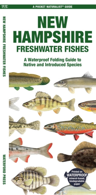Book cover of: New Hampshire Freshwater Fishes. By: Waterford Press Staff