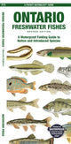 Book cover of: Ontario Freshwater Fishes. By: Matthew Morris