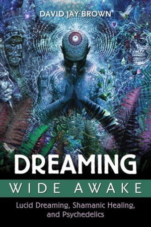 Dreaming Wide Awake
