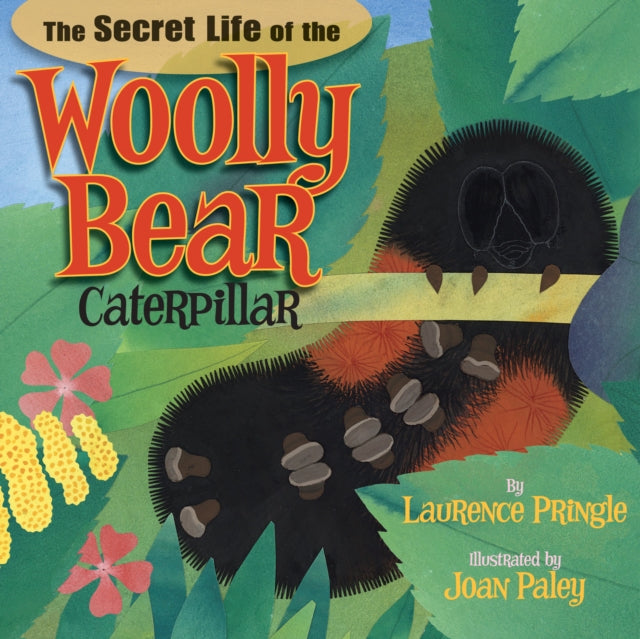 Book cover of: Secret Life of the Woolly Bear Caterpillar. By: Laurence Pringle