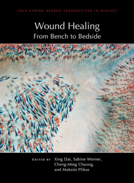 Book cover of: Wound Healing: From Bench to Bedside. By: Xing Dai