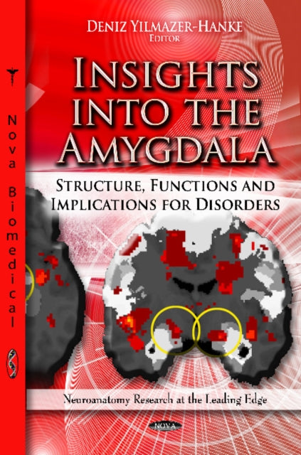 Book cover of: Insights into the Amygdala. By: Deniz Yilmazer-Hanke