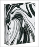 Book cover of: Black and White Marble Playing Cards