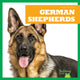 Book cover of: German Shepherds. By: Kaitlyn Duling