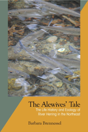 Alewives Tale
