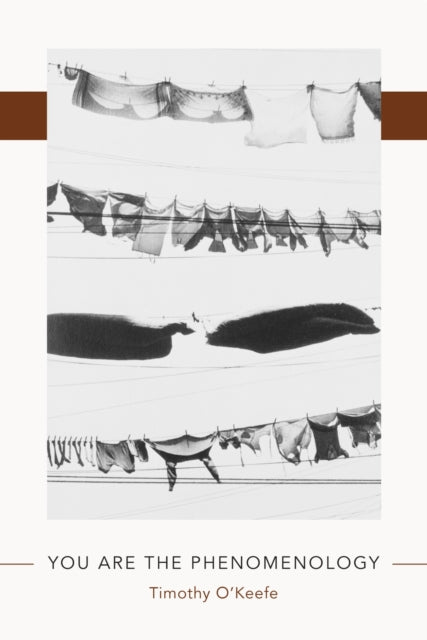 Book cover of: You Are the Phenomenology. By: Timothy O'Keefe