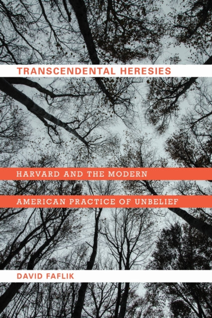 Book cover of: Transcendental Heresies. By: David Faflik
