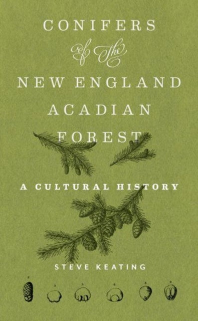 Book cover of: Conifers of the New England–Acadian Forest. By: Steve Keating