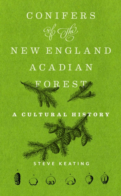Book cover of: Conifers of the New England–Acadian Forest