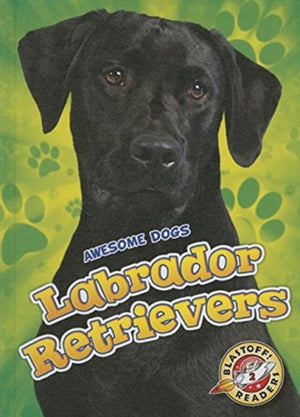 Labradori retriiverid