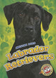 Labradori retriiverid