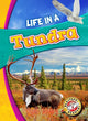 Elu tundras