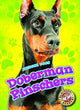 Book cover of: Doberman Pinschers. By: Christina Leighton