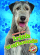 Book cover of: Irish Wolfhounds. By: Paige V. Polinsky
