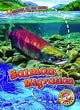 Book cover of: Salmon Migration. By: Kari Schuetz