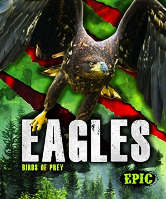 Book cover of: Eagles. By: Nathan Sommer