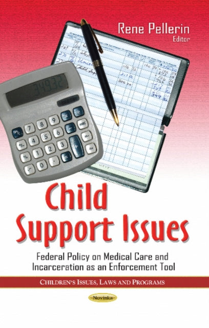 Book cover of: Child Support Issues. By: Rene Pellerin