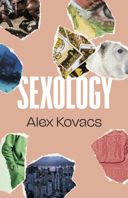 Book cover of: Sexology. By: Alex Kovacs