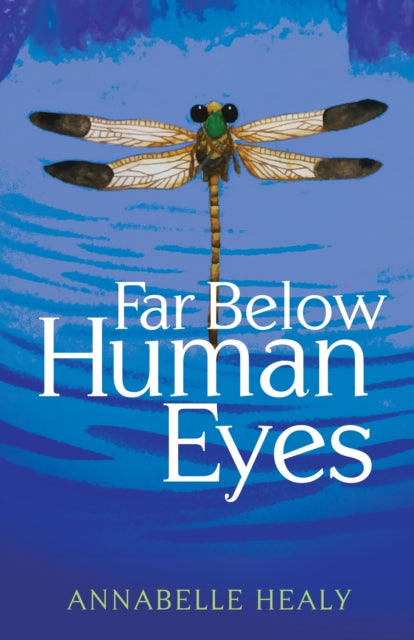 Book cover of: Far Below Human Eyes. By: Annabelle Healy