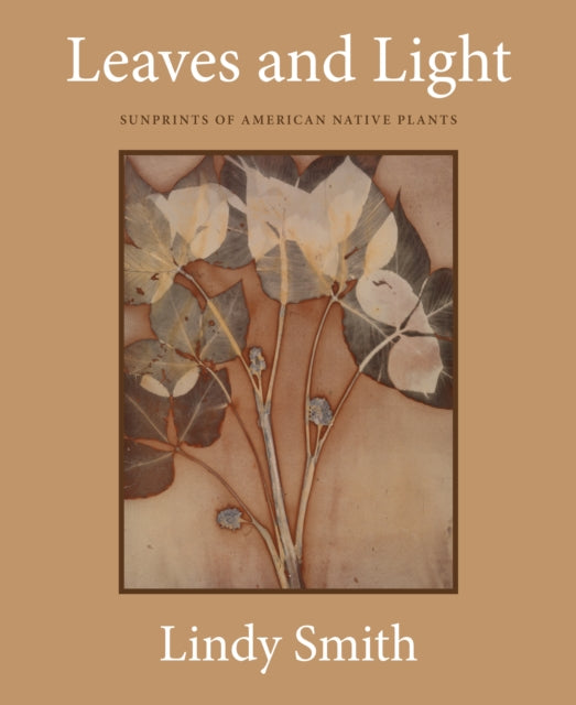 Book cover of: Leaves and Light