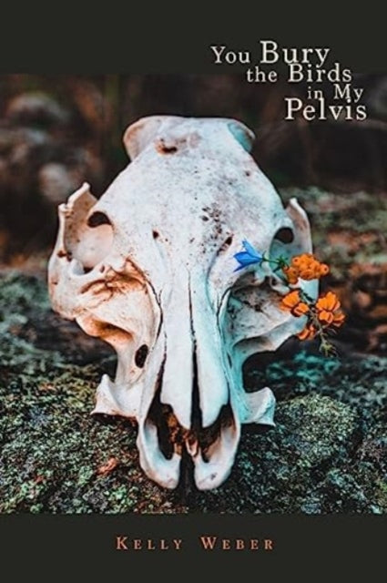 Book cover of: You Bury the Birds in My Pelvis. By: Kelly Weber